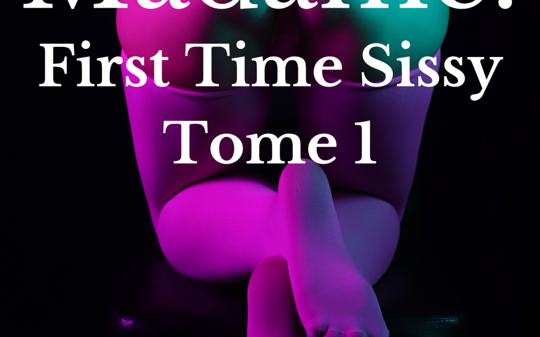 First Time Sissy – Tome 1 : Awakening